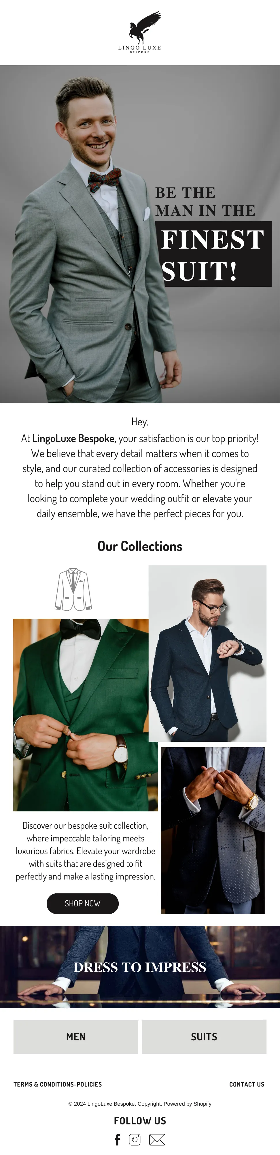 EcomCure Brand Email Design for LingoLuxe Premium Menswear Collection